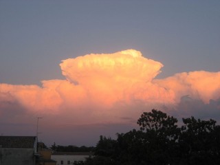 Cumulus at sunset